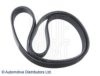 BLUE PRINT AD05R1146 V-Ribbed Belts